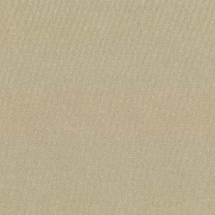 Kilbarry Stone by Kasmir Fabric 1431 100% Polyester
 INDIA </p><p>Repeat: Horizontal: N/A and Vertical: N/A 56 - Fabric Carolina -