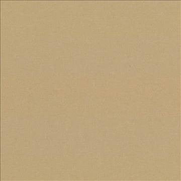 Kilbarry Toffee by Kasmir Fabric 1431 100% Polyester INDIA 40,000 Martindale Cycles H: N/A, V: N/A 56 - Fabric Carolina - Kasmir
