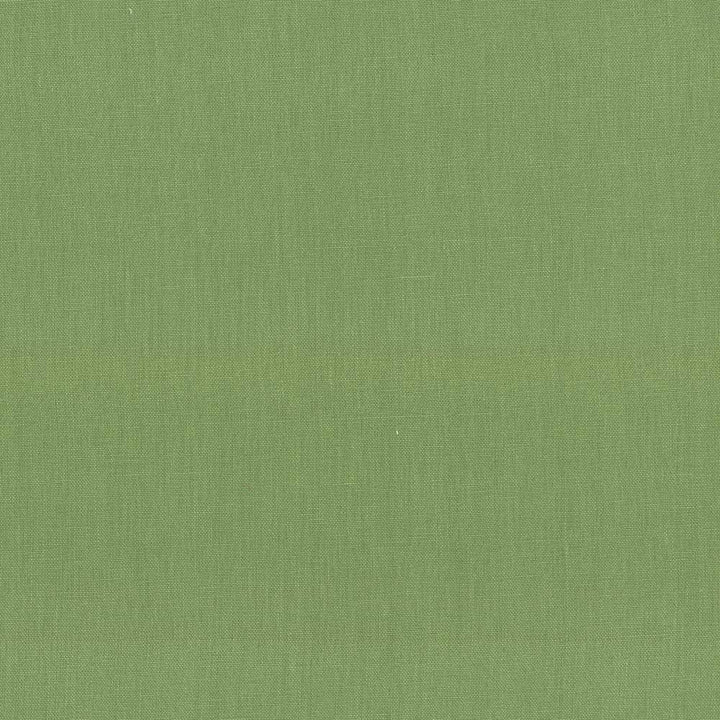 Kilkenny Grass by Kasmir Fabric 5091 CHINA 15,000 Wyzenbeek Double Rubs H: N/A, V:N/A 54 - 56 - Fabric Carolina - Kasmir