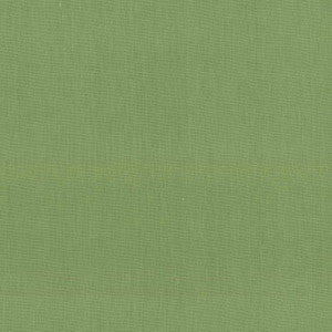 Kilkenny Grass by Kasmir Fabric