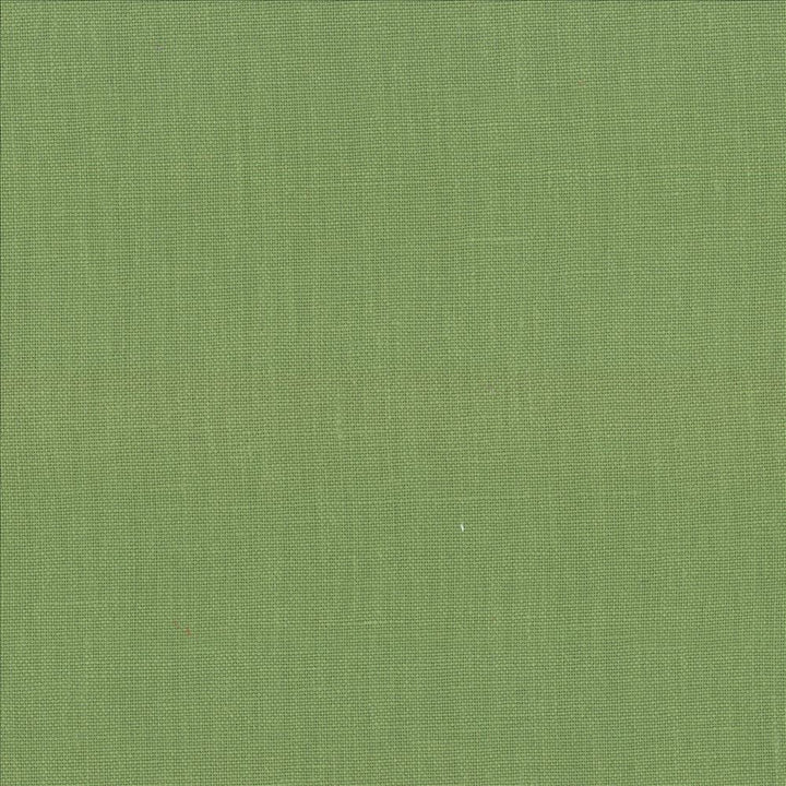 Kilkenny Grass  by Kasmir Fabric See sample 100% Linen
 CHINA 15,000 Wyzenbeek Double Rubs </p><p>Repeat: Horizontal: N/A and Vertical: N/A 54  - Fabric Carolina -