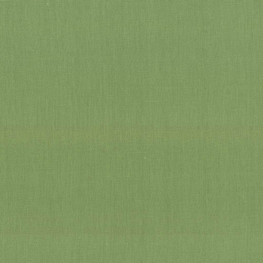 Kilkenny Grass by Kasmir Fabric 5091 100% Linen
 CHINA </p><p>Repeat: Horizontal: N/A and Vertical: N/A 54 - 56 - Fabric Carolina -