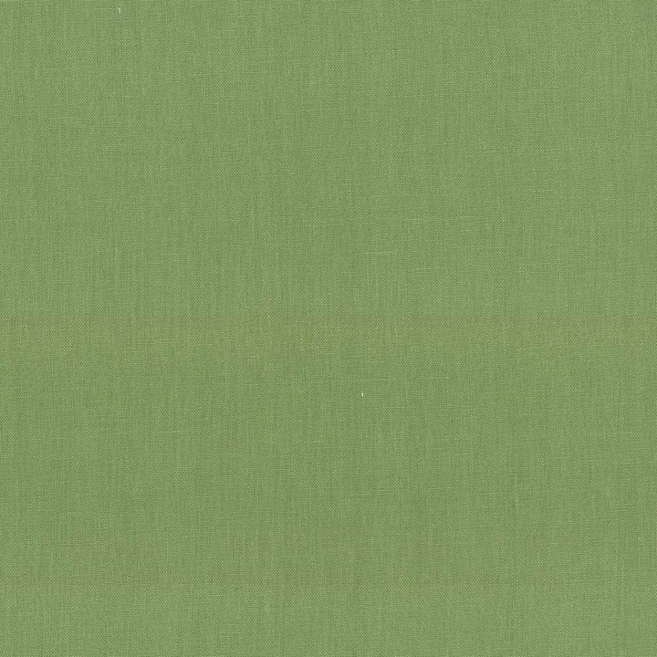 Kilkenny Grass by Kasmir Fabric 5091 100% Linen
 CHINA </p><p>Repeat: Horizontal: N/A and Vertical: N/A 54 - 56 - Fabric Carolina -