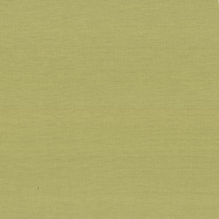 Kilkenny Pear by Kasmir Fabric 5091 100% Linen
 CHINA </p><p>Repeat: Horizontal: N/A and Vertical: N/A 54 - 56 - Fabric Carolina -