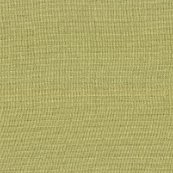 Kilkenny Pear by Kasmir Fabric 5091 100% Linen
 CHINA </p><p>Repeat: Horizontal: N/A and Vertical: N/A 54 - 56 - Fabric Carolina -