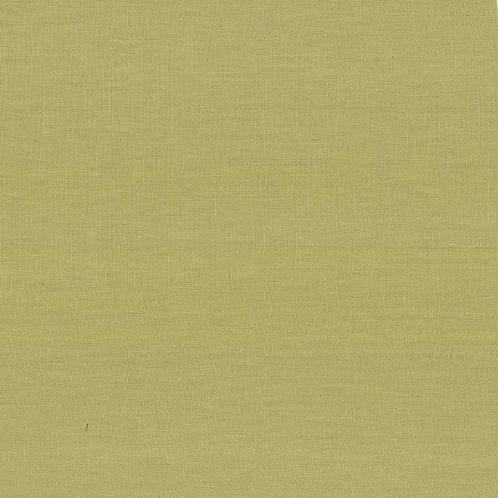Kilkenny Pear by Kasmir Fabric 5091 CHINA 15,000 Wyzenbeek Double Rubs H: N/A, V:N/A 54 - 56 - Fabric Carolina - Kasmir