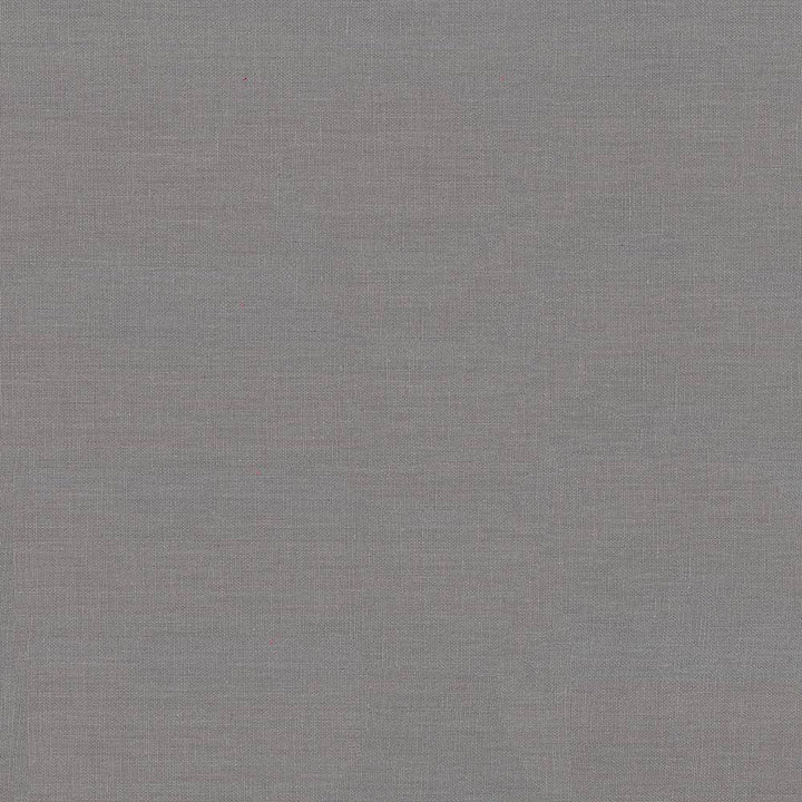 Kilkenny Pewter by Kasmir Fabric 5091 100% Linen
 CHINA </p><p>Repeat: Horizontal: N/A and Vertical: N/A 54 - 56 - Fabric Carolina -