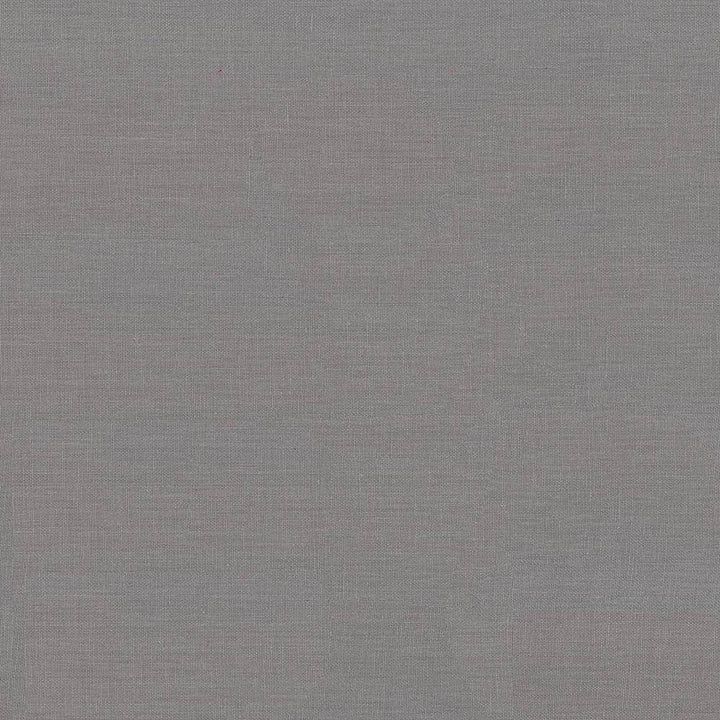 Kilkenny Pewter by Kasmir Fabric 5091 CHINA 15,000 Wyzenbeek Double Rubs H: N/A, V:N/A 54 - 56 - Fabric Carolina - Kasmir