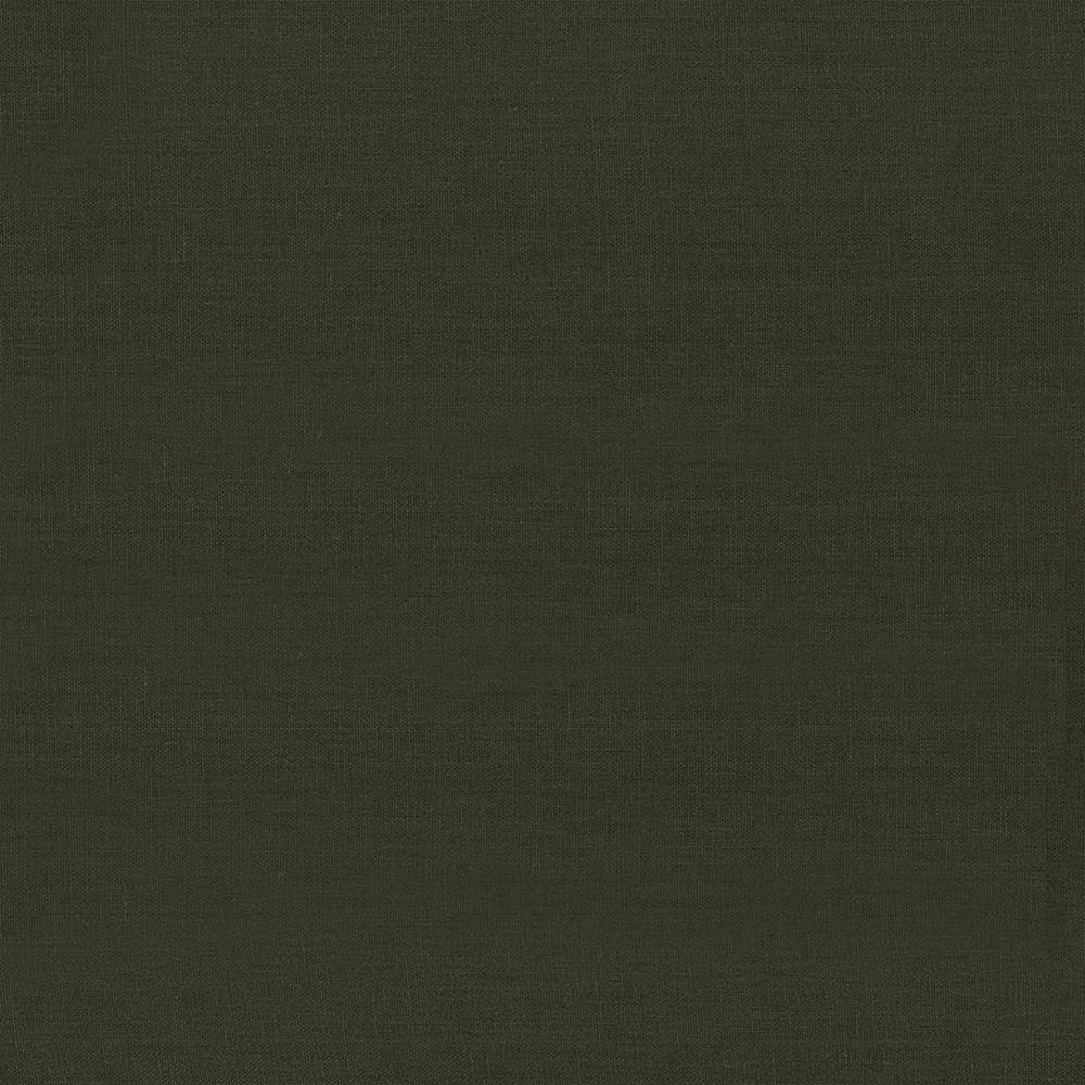 Kilkenny Pine by Kasmir Fabric 5091 100% Linen
 CHINA </p><p>Repeat: Horizontal: N/A and Vertical: N/A 54 - 56 - Fabric Carolina -