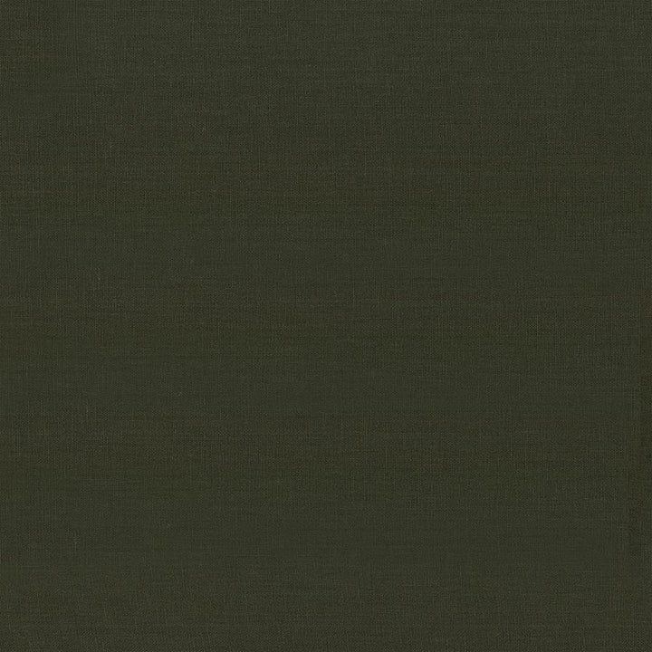 Kilkenny Pine by Kasmir Fabric 5091 100% Linen
 CHINA </p><p>Repeat: Horizontal: N/A and Vertical: N/A 54 - 56 - Fabric Carolina -