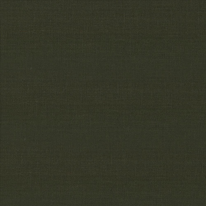 Kilkenny Pine by Kasmir Fabric 5091 100% Linen
 CHINA </p><p>Repeat: Horizontal: N/A and Vertical: N/A 54 - 56 - Fabric Carolina -