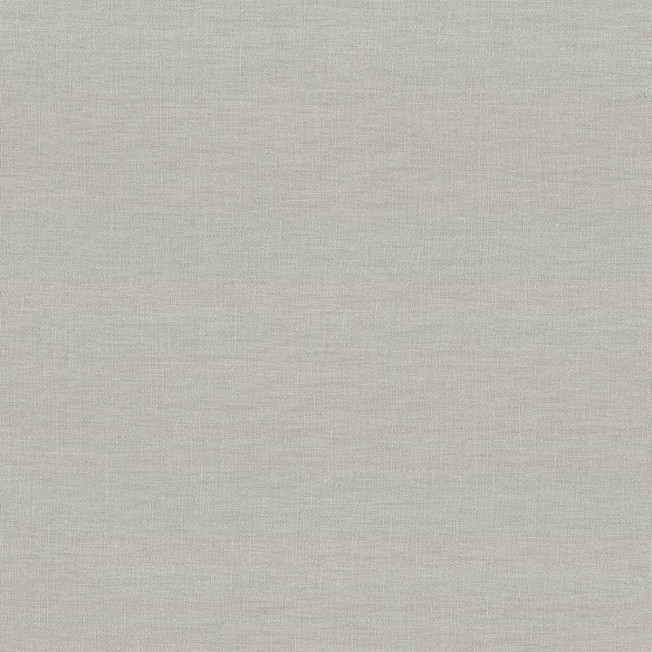 Kilkenny Silver by Kasmir Fabric 5091 CHINA 15,000 Wyzenbeek Double Rubs H: N/A, V:N/A 54 - 56 - Fabric Carolina - Kasmir