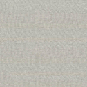Kilkenny Silver by Kasmir Fabric