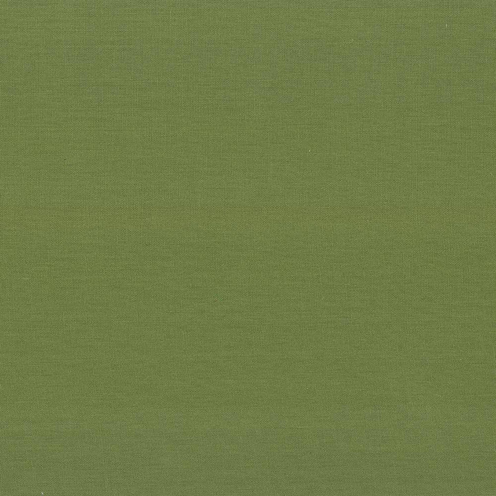 Kilkenny Snow Pea by Kasmir Fabric 5091 CHINA 15,000 Wyzenbeek Double Rubs H: N/A, V:N/A 54 - 56 - Fabric Carolina - Kasmir