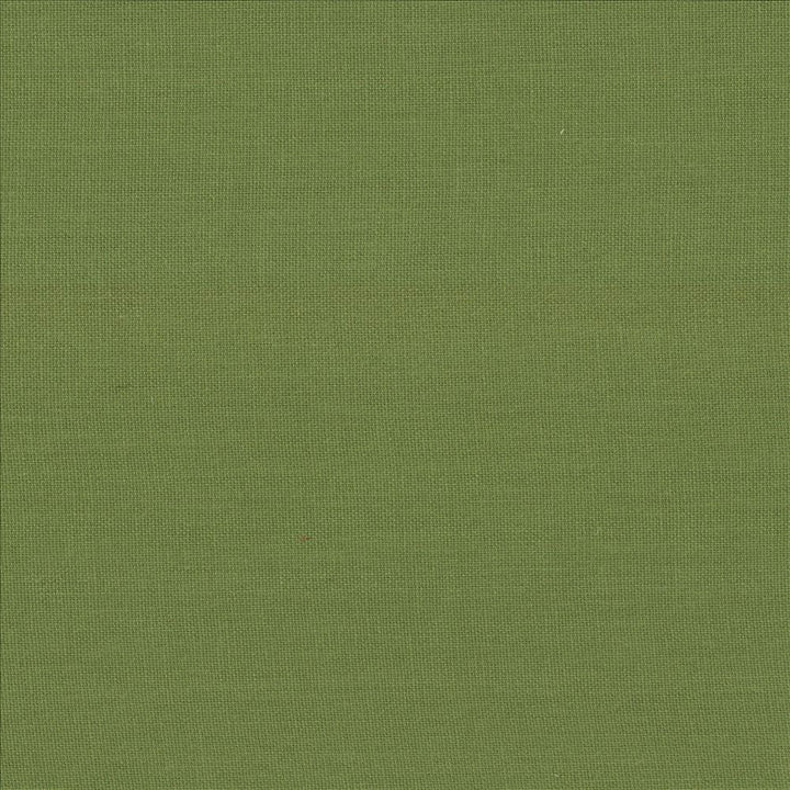 Kilkenny Snow Pea  by Kasmir Fabric See sample 100% Linen
 CHINA 15,000 Wyzenbeek Double Rubs </p><p>Repeat: Horizontal: N/A and Vertical: N/A 54  - Fabric Carolina -