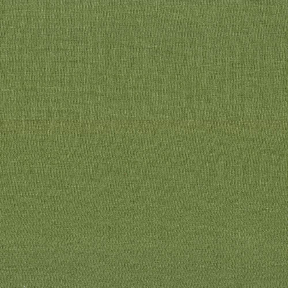 Kilkenny Snow Pea by Kasmir Fabric 5091 100% Linen
 CHINA </p><p>Repeat: Horizontal: N/A and Vertical: N/A 54 - 56 - Fabric Carolina -