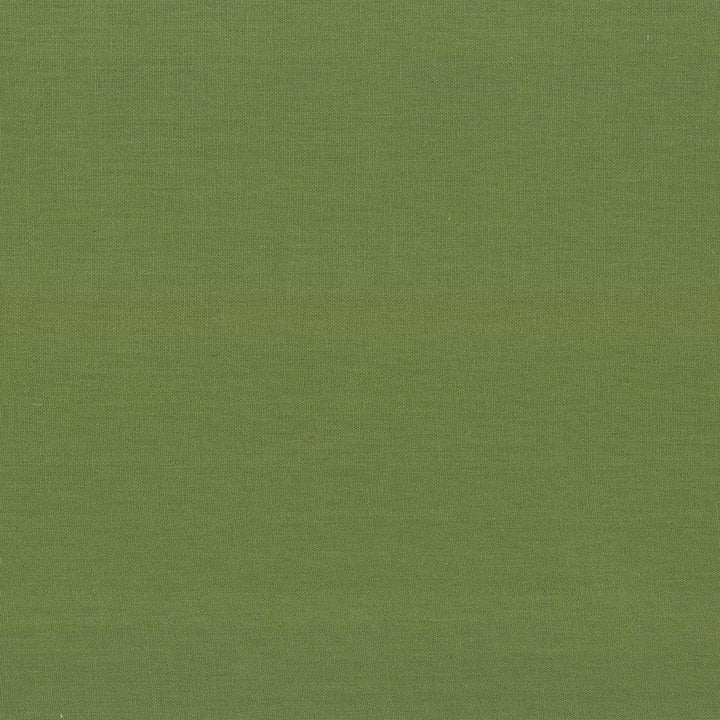Kilkenny Snow Pea by Kasmir Fabric 5091 100% Linen
 CHINA </p><p>Repeat: Horizontal: N/A and Vertical: N/A 54 - 56 - Fabric Carolina -