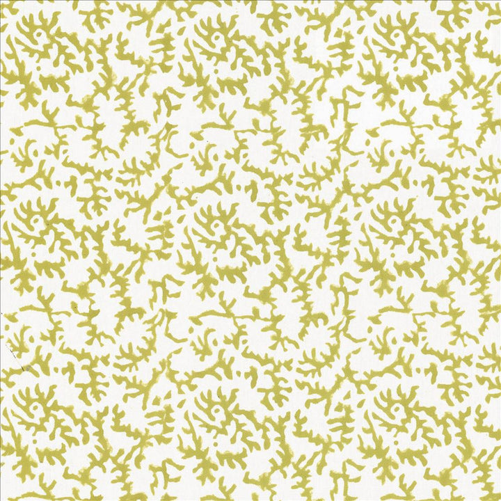 Kindred Spirit Kiwi by Kasmir Fabric 5124 90% Cotton
10% Linen
 INDIA Not Tested </p><p>Repeat: Horizontal: 6 inches and Vertical: 6 inches 53 - Fabric Carolina -