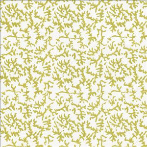 Kindred Spirit Kiwi by Kasmir Fabric