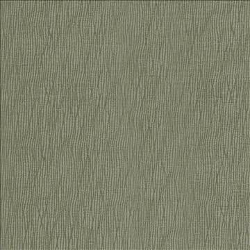Kintu Green Tea by Kasmir Fabric 5099 100% Polyester CHINA 40,000 Martindale Cycles H: N/A, V: N/A 56 - 57 - Fabric Carolina - Kasmir
