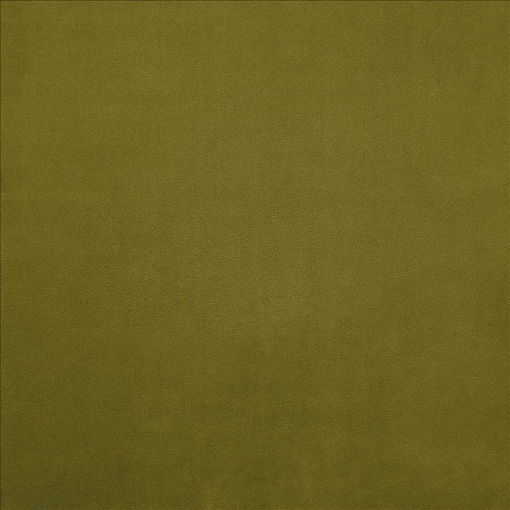 Knockout Apple by Kasmir Fabric 5177 100% Polyester
 CHINA 100,000 Wyzenbeek Double Rubs </p><p>Repeat: Horizontal: N/A and Vertical: N/A 54 - Fabric Carolina -
