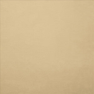 Knockout Beige by Kasmir Fabric