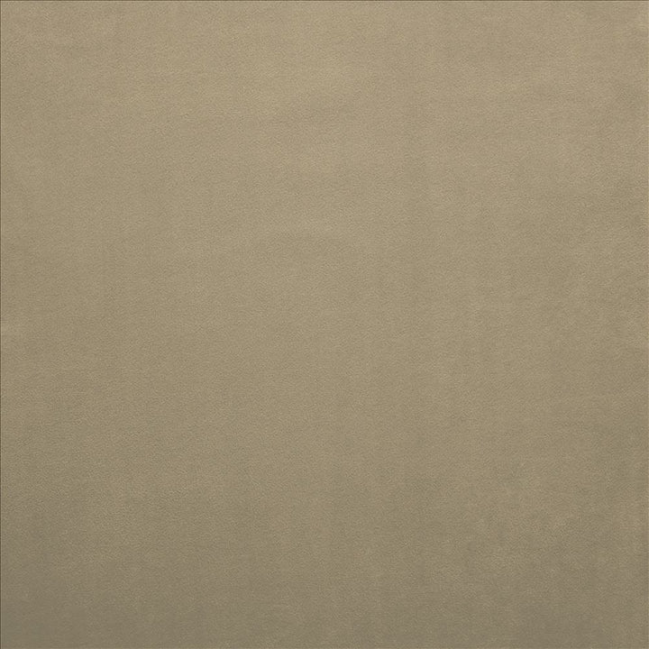Knockout Dove by Kasmir Fabric 5177 100% Polyester
 CHINA </p><p>Repeat: Horizontal: N/A and Vertical: N/A 54 - Fabric Carolina -