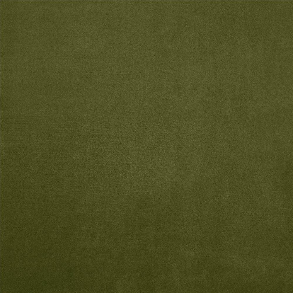 Knockout Forest by Kasmir Fabric 5177 100% Polyester
 CHINA 100,000 Wyzenbeek Double Rubs </p><p>Repeat: Horizontal: N/A and Vertical: N/A 54 - Fabric Carolina -