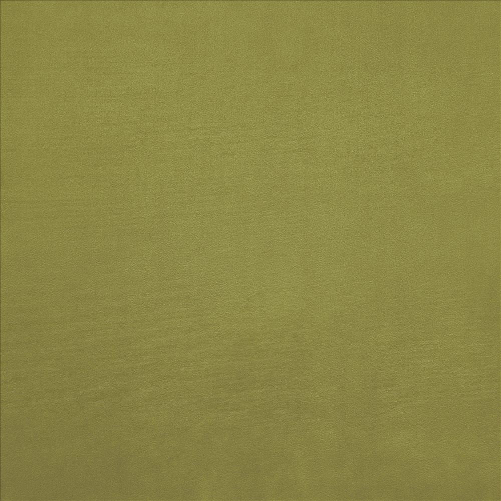 Knockout Gecko by Kasmir Fabric 5177 100% Polyester
 CHINA </p><p>Repeat: Horizontal: N/A and Vertical: N/A 54 - Fabric Carolina -
