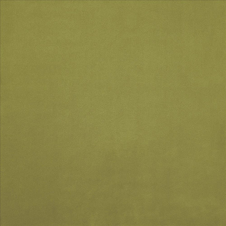 Knockout Gecko by Kasmir Fabric 5177 100% Polyester
 CHINA </p><p>Repeat: Horizontal: N/A and Vertical: N/A 54 - Fabric Carolina -