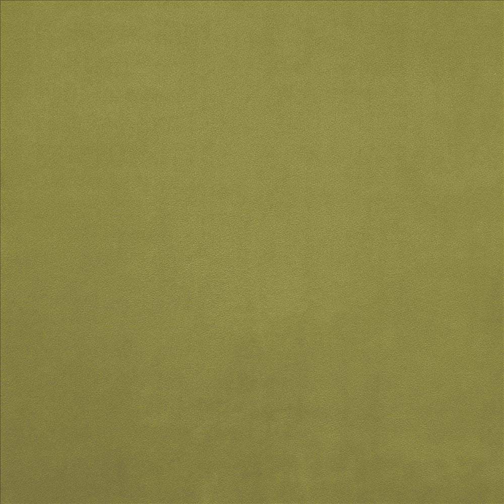 Knockout Gecko by Kasmir Fabric 5177 100% Polyester
 CHINA 100,000 Wyzenbeek Double Rubs </p><p>Repeat: Horizontal: N/A and Vertical: N/A 54 - Fabric Carolina -