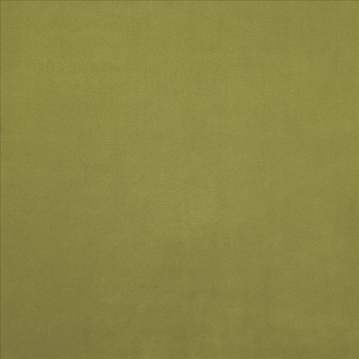 Knockout Gecko by Kasmir Fabric 5177 100% Polyester
 CHINA 100,000 Wyzenbeek Double Rubs </p><p>Repeat: Horizontal: N/A and Vertical: N/A 54 - Fabric Carolina -