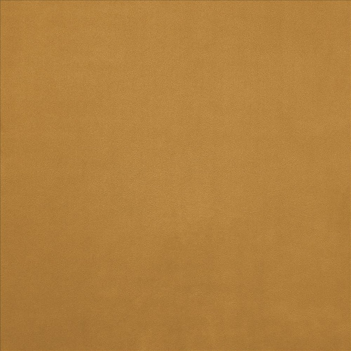 Knockout Harvest by Kasmir Fabric 5177 100% Polyester
 CHINA </p><p>Repeat: Horizontal: N/A and Vertical: N/A 54 - Fabric Carolina -