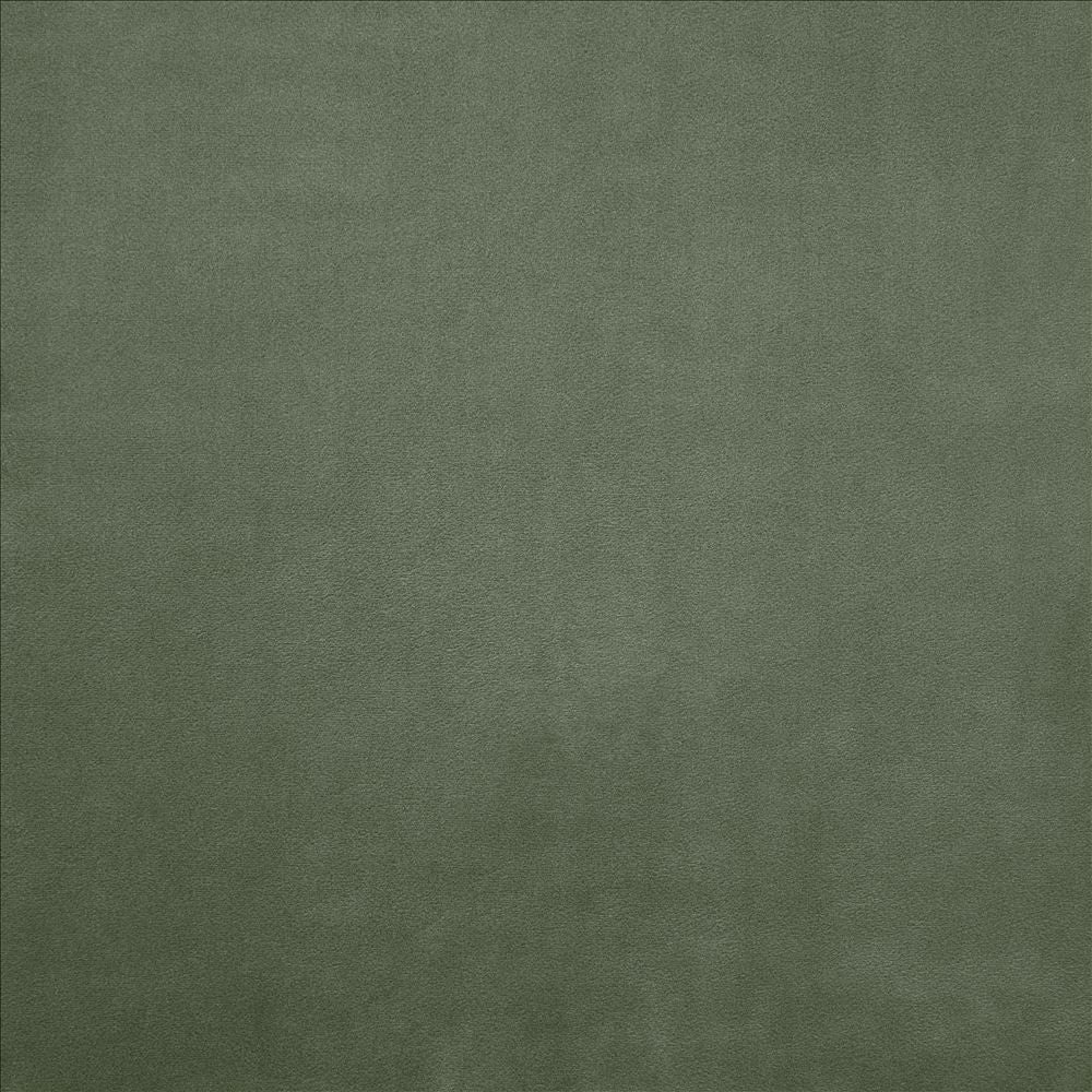 Knockout Pine by Kasmir Fabric 5177 100% Polyester
 CHINA </p><p>Repeat: Horizontal: N/A and Vertical: N/A 54 - Fabric Carolina -