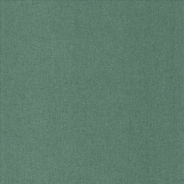Kosovo Calypso by Kasmir Fabric 5159 100% Polyester
 CHINA 50,000 Wyzenbeek Double Rubs </p><p>Repeat: Horizontal: N/A and Vertical: N/A 54 - Fabric Carolina -
