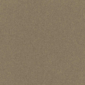 Kosovo Morel by Kasmir Fabric