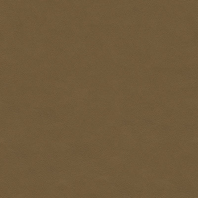 L-Akron-Hickory by Kravet Design Fabric