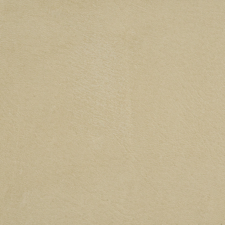 L-Arizona Putty by Kravet Design Fabric