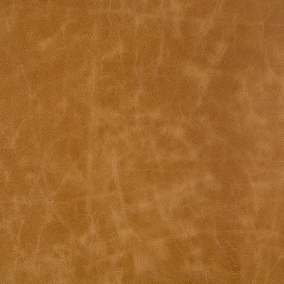 L-Beaumont-Adobe by Kravet Basics Fabric