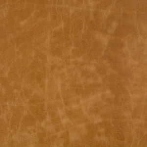 L-Beaumont-Adobe by Kravet Basics Fabric