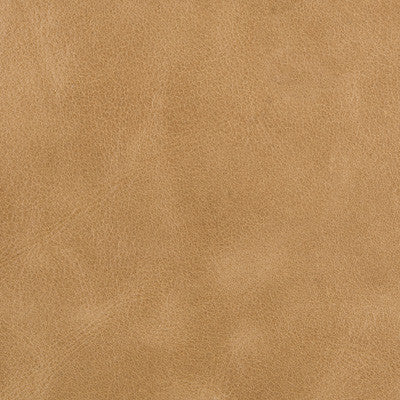 Bern Scotch by Kravet Couture Fabric