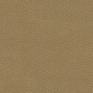 L-Bexar-Sand by Kravet Couture Fabric