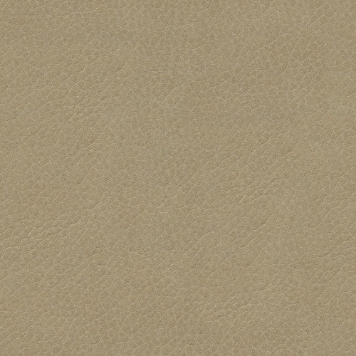 L-Bexar-Stone by Kravet Couture Fabric