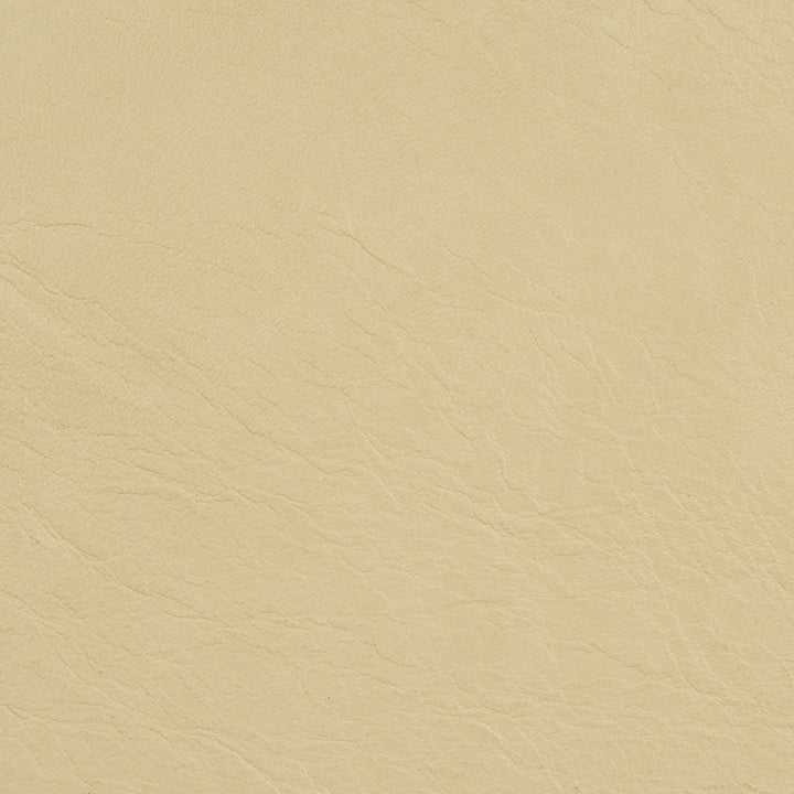 L-Coachman-Palomino by Kravet Couture Fabric