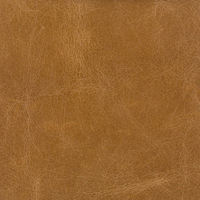 L-Cosmo-Buck by Kravet Couture Fabric