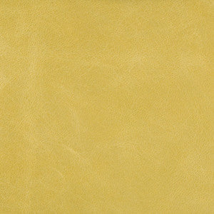L-Cosmo-Sulphur by Kravet Couture Fabric