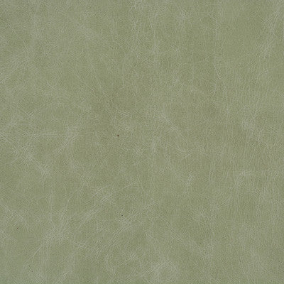 L-Cuero-Eucalyptus by Kravet Design Fabric