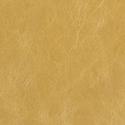 L-Davos-Sap by Kravet Couture Fabric