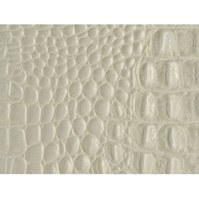 Gator Vapor by Kravet Couture Fabric