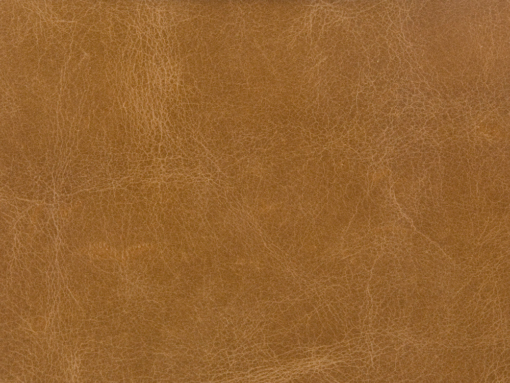 L-Haute-Camel by Kravet Couture Fabric